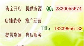 淘寶創(chuàng)業(yè)全攻略 從開(kāi)店、推廣到專(zhuān)業(yè)培訓(xùn)，解鎖網(wǎng)店經(jīng)營(yíng)核心技術(shù)